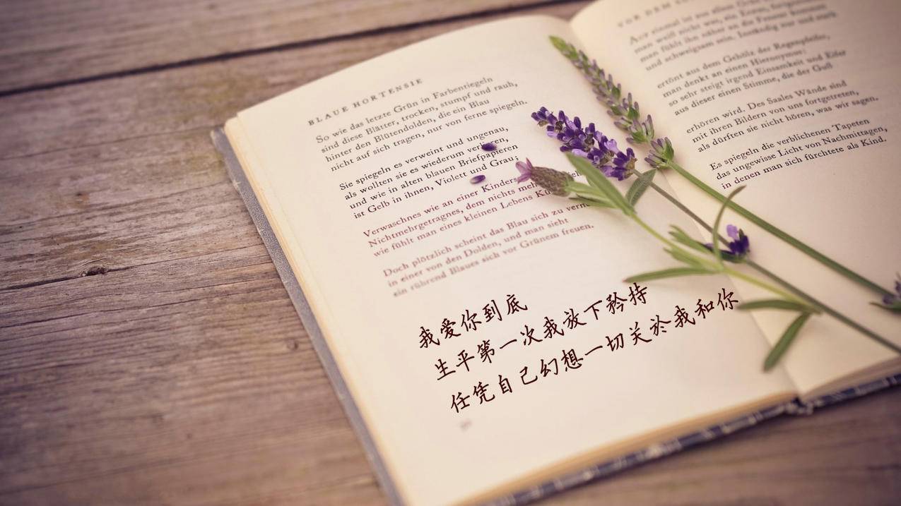 在线手机qq圈圈赞一