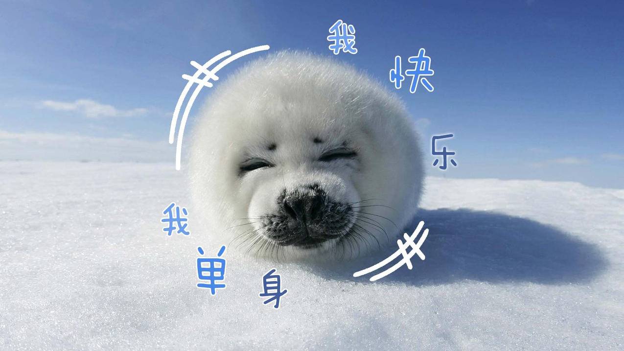 抖音点赞一天能点多少赞-抖音刷点赞在线,快手刷赞免费代刷,王者荣耀点赞下单平台,抖音刷赞全网 最低价免费