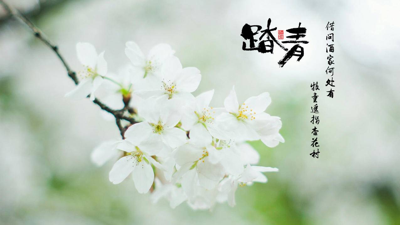 抖音作品浏览刷赞网-快手低价代刷网平台-直播秒刷人气,空间说说浏览自助下单平台