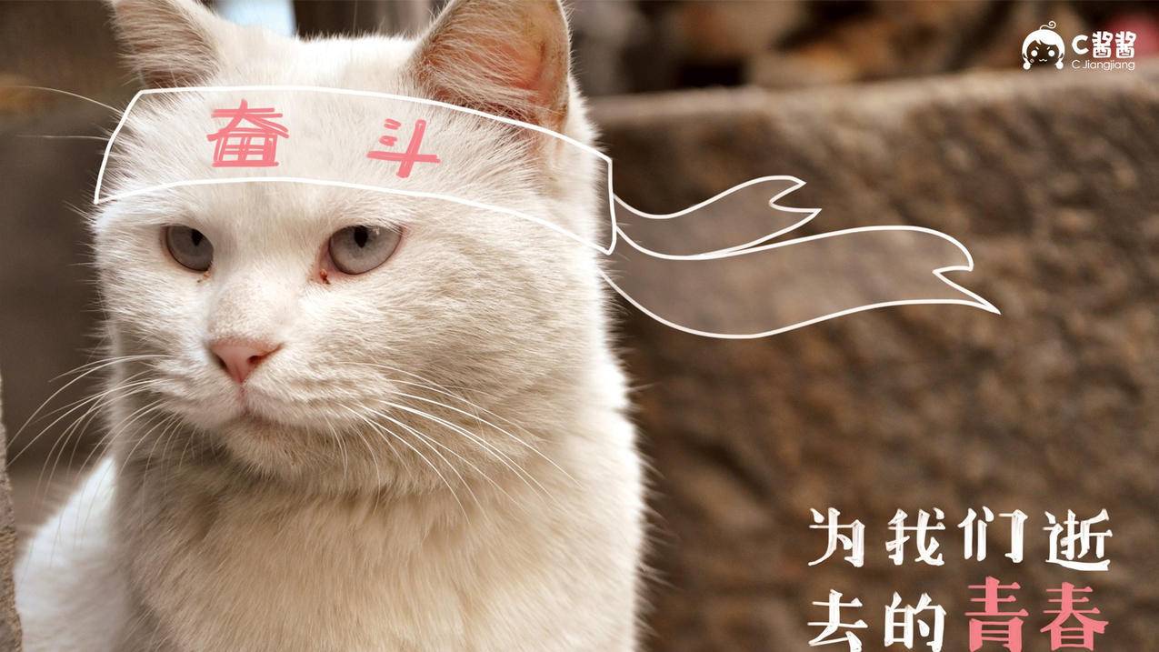 代代卡盟官网-快手粉丝自助平台,抖音刷赞20个到50个网页版,QQ会员在线自助下单网站,微博粉丝购买网站