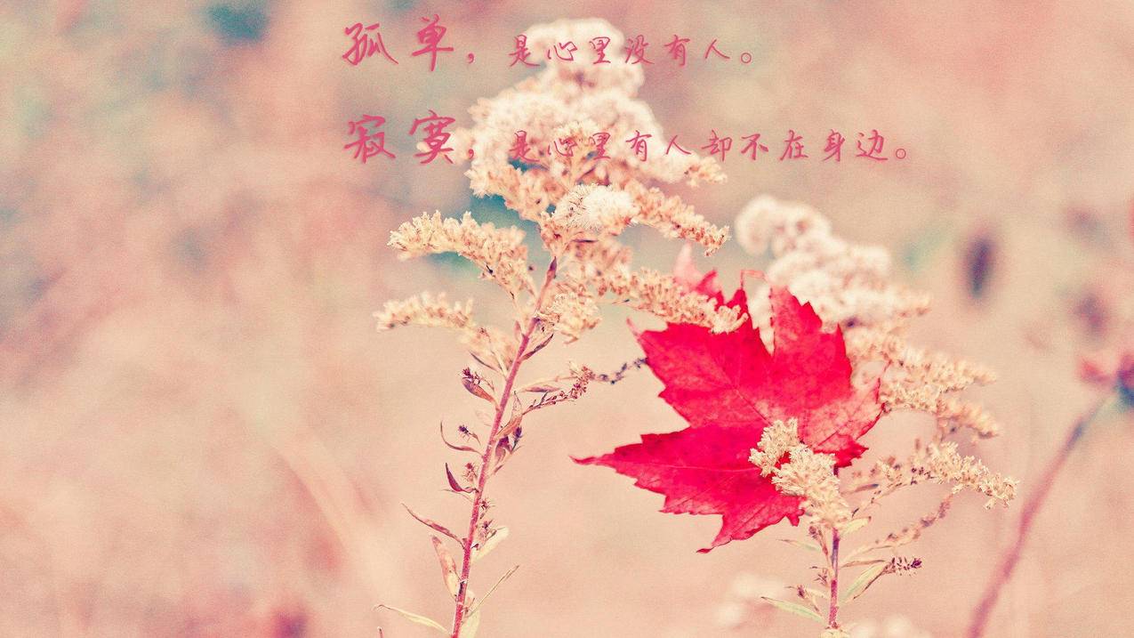 刷赞快手赞网址 - 南荷代快手刷,快手免费刷赞平台自助下单