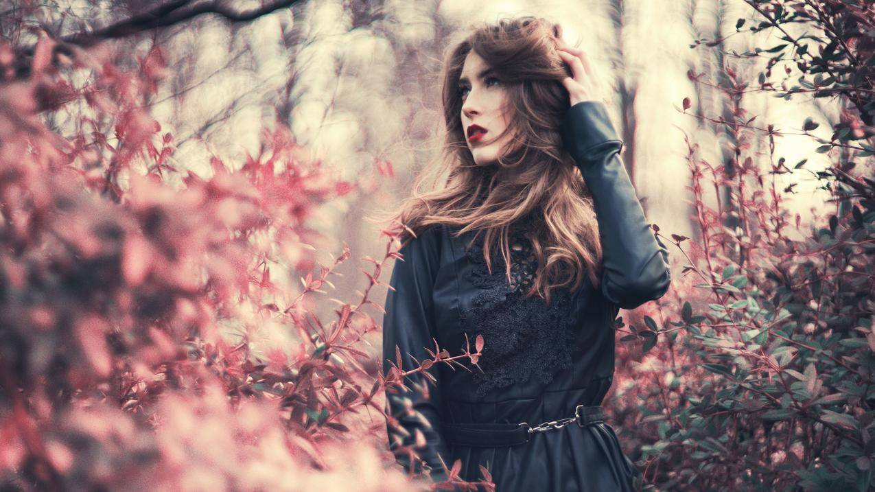 新方代刷网业务自助下单平台 - 低价刷qq空间访客网站免费