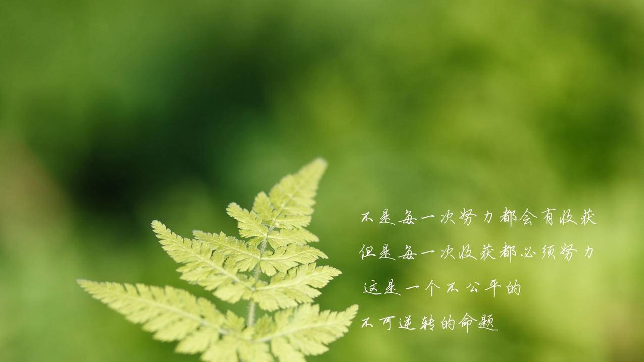 买qq空间赞网站-快手业务刷网,qq刷赞诚信网,用qq小号给大号刷赞