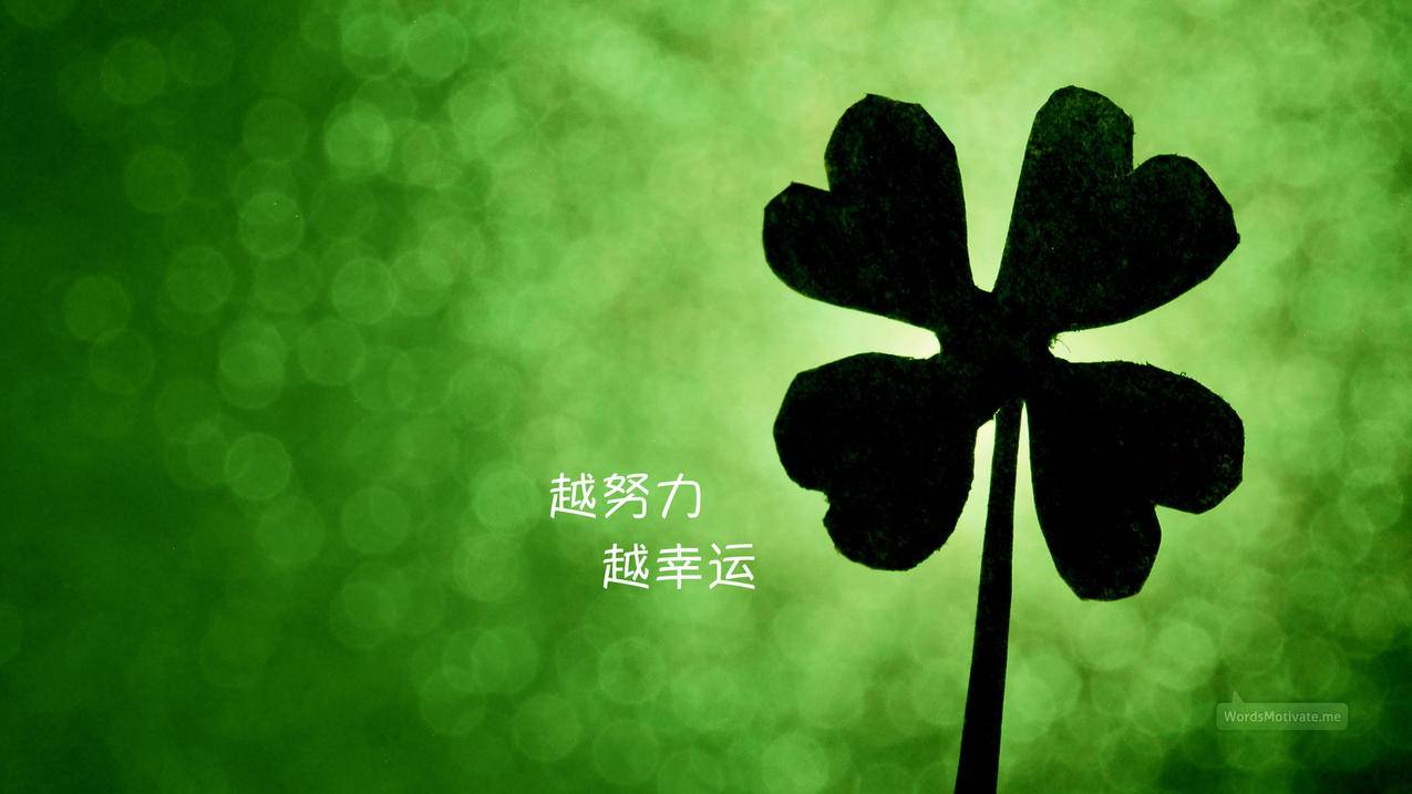 代刷网空间说说赞十个