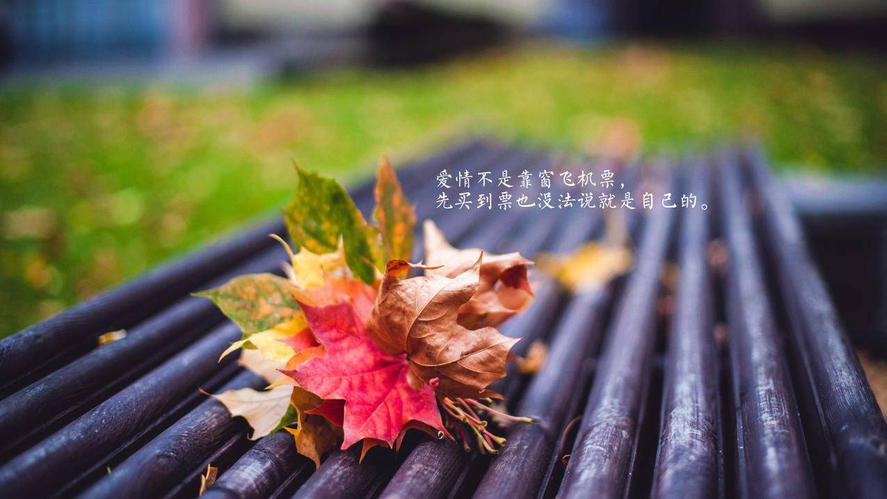 空间说说刷评论软件 - 快手买赞仙女网-便宜的抖音刷赞网站