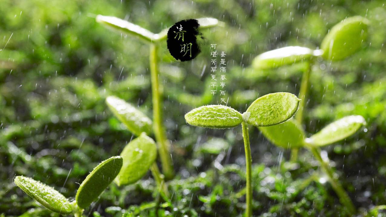 快手涨1000粉丝网站-抖音一元钱买100赞,空间刷赞超便宜,秒刷抖音作品点赞