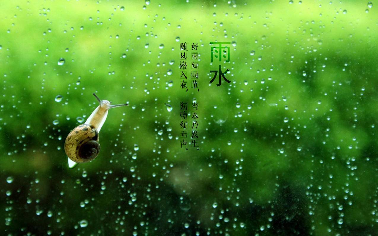 qq号业务网 - 一元刷100快手粉丝