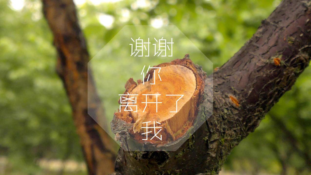 快手刷僵尸粉的软件 - 免费秒赞网站,qq业务自助下单平台最低价雷神_快手代网站刷业务平台苏苏