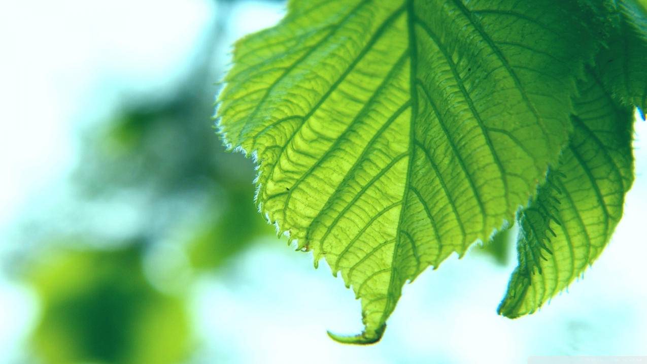 辅助发卡网454_快手0.3元100赞_qq刷赞最便宜网站梓 - qq说说免费刷赞连接