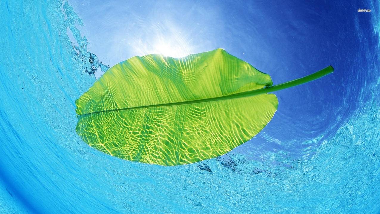 1元涨1000粉丝软件苹果 - 一毛钱一万赞的网站,ins关注量刷_微博刷微博达人