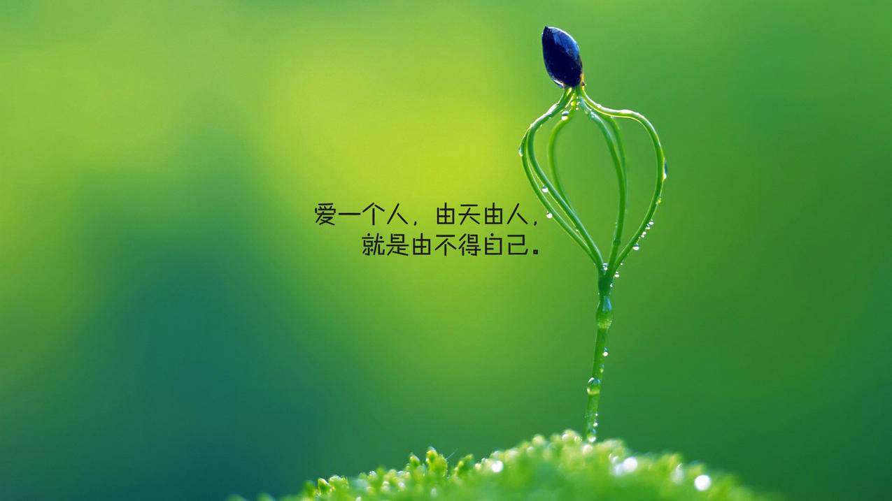 全网超火快手刷赞 - 梓豪代网刷平台-qq免费刷人气网页-微博热门评论代刷